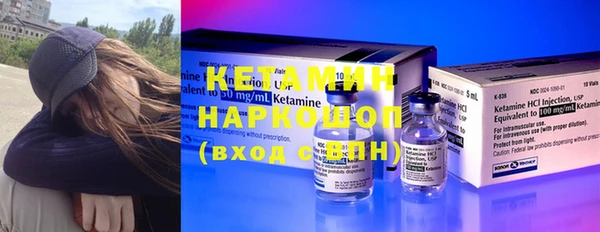 индика Медвежьегорск