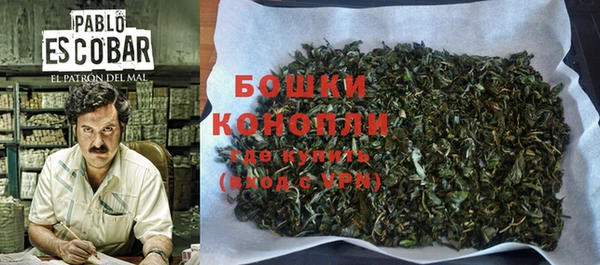 индика Медвежьегорск