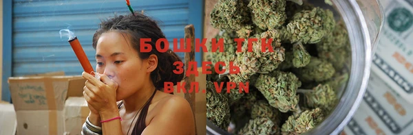 индика Медвежьегорск