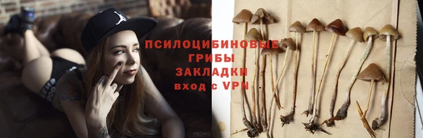 индика Медвежьегорск