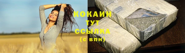 дживик Магас