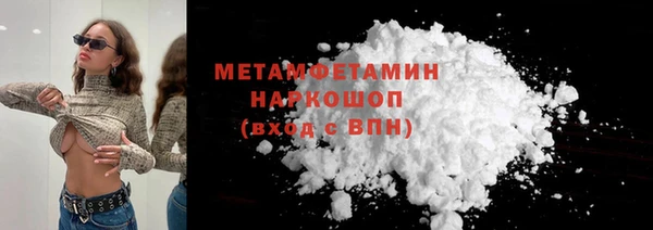 индика Медвежьегорск