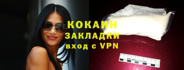 дживик Магас