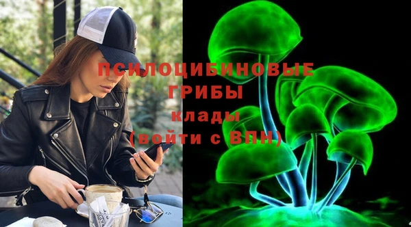 дживик Магас