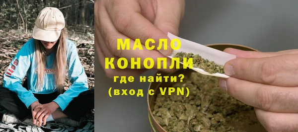 индика Медвежьегорск