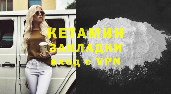 индика Медвежьегорск