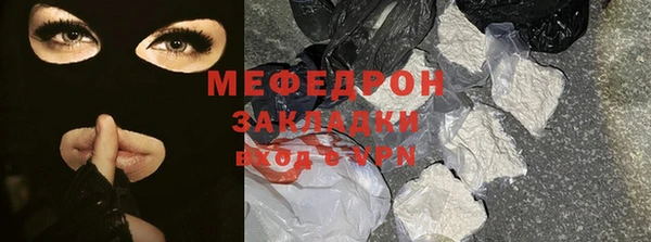 индика Медвежьегорск