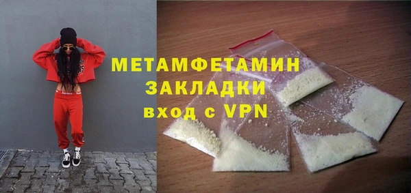 индика Медвежьегорск