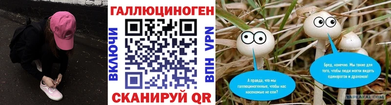 Псилоцибиновые грибы прущие грибы Тотьма